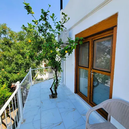 Lemon Tree * Dalaman