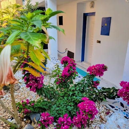 Appartement Lemon Tree *